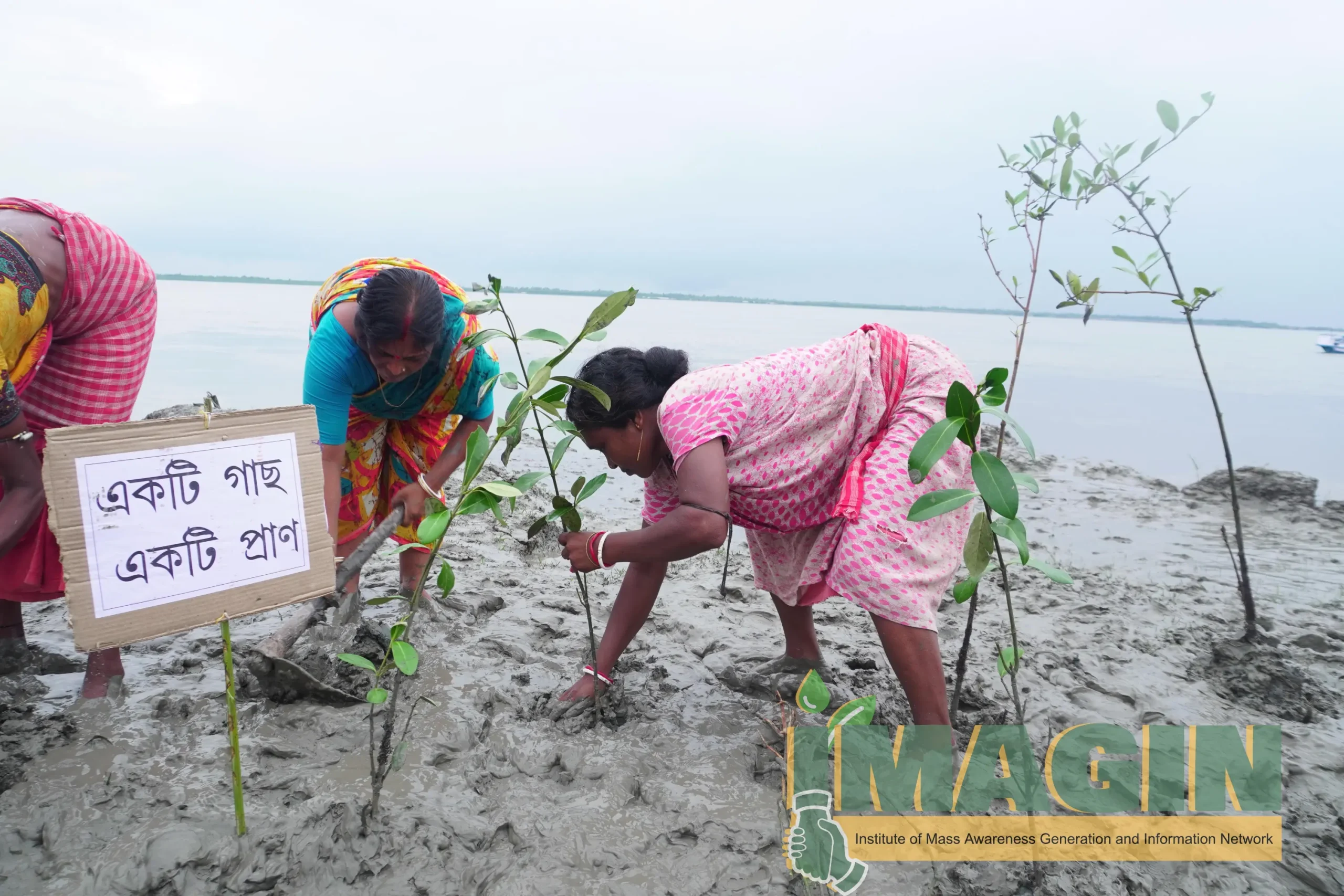 IMAGIN Tree Plantation