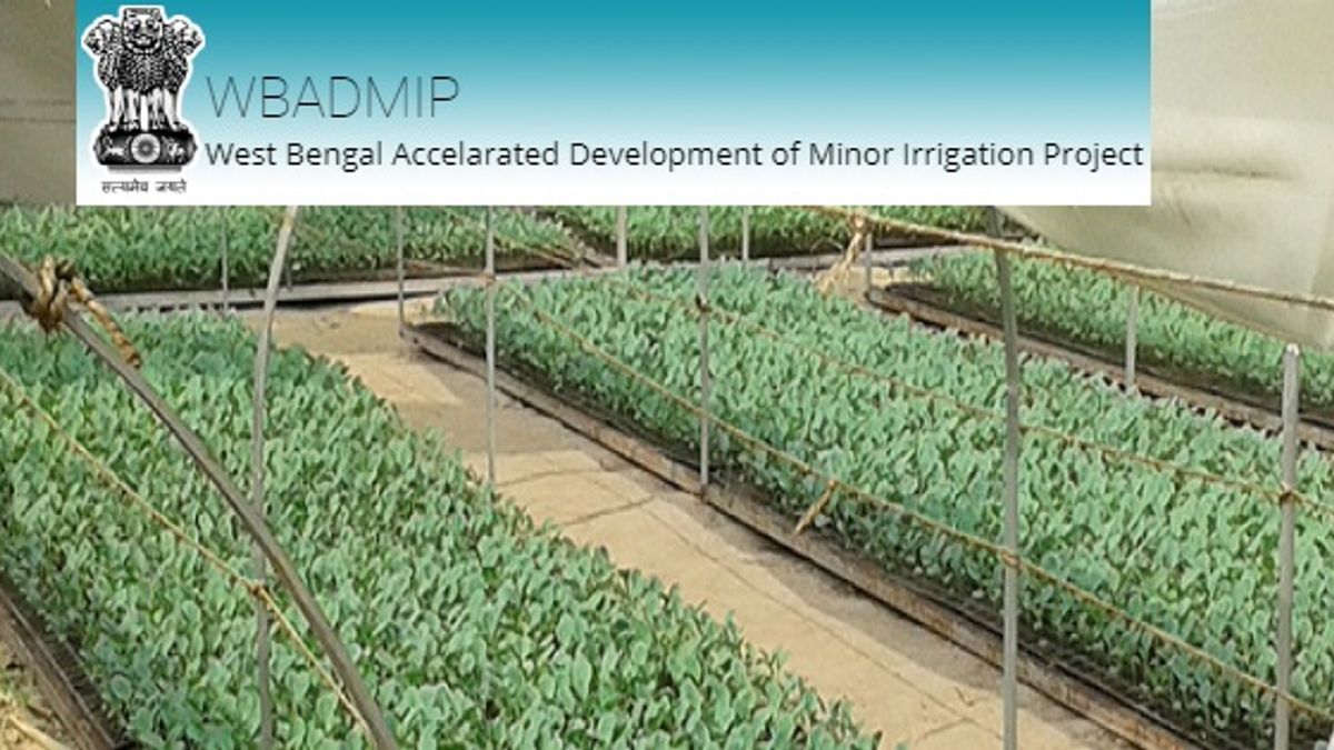 WB-Accelerated-Development